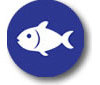 Pescado